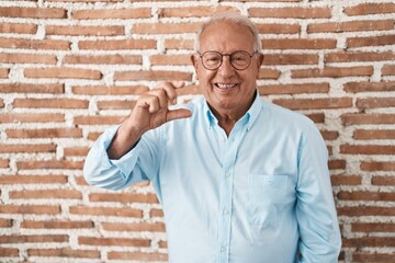 Wall Mural - Senior man with grey hair standing over bricks wall smiling and confident gesturing with hand doing small size sign with fingers looking and the camera. measure concept.