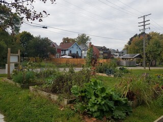 Wall Mural - an urban farm in an old detroit neighborhood