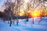 Fototapeta Na ścianę - Red sunset in winter forest
