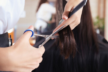 Poster - Professional hairdresser cutting woman's hair in beauty salon, closeup