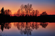 Colourful Tree Reflections After Sunset.  Serpentine Fen, Surrey, BC