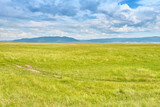Fototapeta Sawanna - Steppe in the Barguzin Valley of the Republic of Buryatia on a clear sunny day.