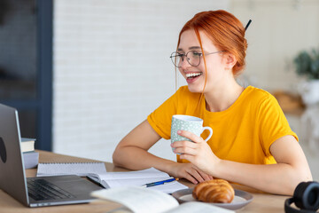 Wall Mural - Young happy woman office worker or freelancer have video conference with employees, talking, working remotely online at the office or at home