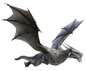 Wall Mural - 3d rendered grey wyvern - a bipedal dragon isolated on transparent background - 3d illustration