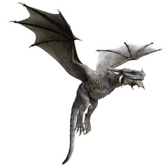 Wall Mural - 3d rendered grey wyvern - a bipedal dragon isolated on transparent background - 3d illustration