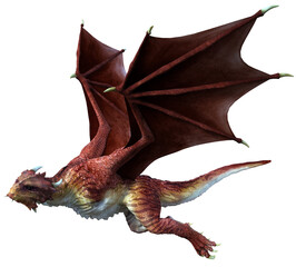 Wall Mural - 3d rendered red wyvern - a bipedal dragon isolated on transparent background - 3d illustration