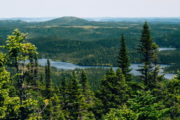 Terra Nova National Park