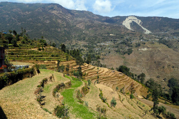 Wall Mural - Daily life. Nepal.