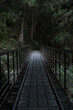 Suspension bridge in the forest with rays of light