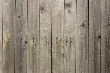 Wall Mural - Wooden background.Rustic wooden fence with slits and nails.Natural grey color.