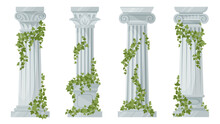 Antique Ivy-covered Classic Greek Columns. Cartoon Ancient Roman Pillars With Climbing Ivy Branches Isolated Flat Vector Illustration On White Background