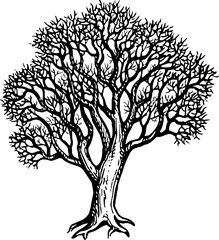 Wall Mural - oak tree ink sketch.