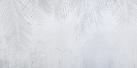 Wall Mural - Shadows of coconut leaves on concrete wall for abstract background, wallpaper background, grunge cement wall, concrete texture, leaves shadows. 