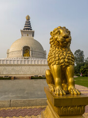 Wall Mural - Delhi, India- 26 Sep ‎2022 : tiger and View of the Vishwa Shanti Stupa, known as World Peace Pagoda. Indraprastha Park in New Delhi.