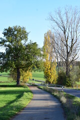 Sticker - gewundene Eifelstrasse im Herbst