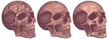 Engraved Human Skull. Design Set. Editable Hand Drawn Illustration. Vector Vintage Engraving. 8 EPS