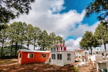 Sticker - Landscape with longleaf pine trees and small religious cross structures against the white clouds