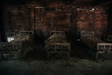 Creepy hospital beds in an abandoned partisan hospital 