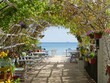 Beach cafe adorned with plants in background of sea
