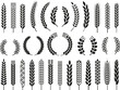Wheat barley ears, oat isolated frames and wreaths. Grains graphic, rice or malt icons. Gluten pictogram, cereal silhouettes tidy vector set, agriculture symbols
