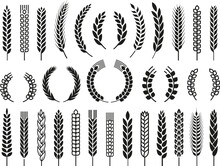 Wheat Barley Ears, Oat Isolated Frames And Wreaths. Grains Graphic, Rice Or Malt Icons. Gluten Pictogram, Cereal Silhouettes Tidy Vector Set, Agriculture Symbols