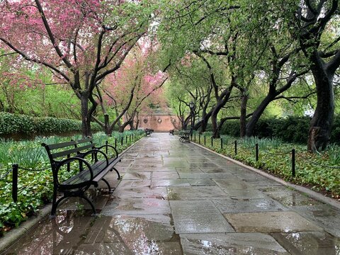 benches places in the conservatory garden in new york's central park offer a peaceful and relaxing p