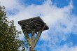 Osprey Nesting Platform 