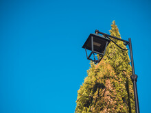 Modern Black Led Street Lamp On The Background Of Blue Sky And Thuja
