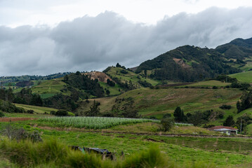 Wall Mural - View of a country landscape of farms in Colombia.