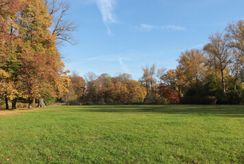Wall Mural - picturesque view of park with beautiful trees and green grass on sunny day. autumn season