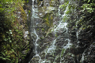 Sticker - Beautiful waterfall with green moss in park