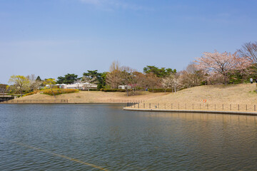 Wall Mural - Sunny view of the West Lake landscape in the lakeside park