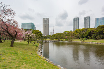 Wall Mural - Beautiful cityscape saw from Hamarikyu Gardens