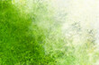 © Arlenta Apostrophe - Abstract green and white background texture, smoke or cloudy space illustration, light green and dark green crackled distressed wispy textured backgrounds