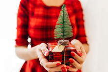 Woman Holding Gift With Christmas Tree