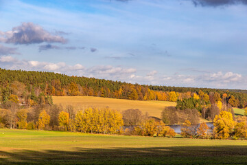 Wall Mural - Sunny november day in the countryside. Autumn landscape.