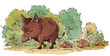 Wild boar family illustration