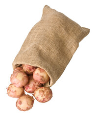 Canvas Print - potatoes in burlap sack