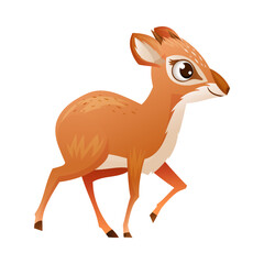 Wall Mural - Walking Brown Dik-dik as African Small Antelope with Horns Vector Illustration