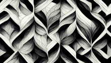 Leaf Sketch. Abstract Background. Floral Design. Black White Ornate Curve Vein Texture Pattern Creative Art Collage