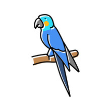 The Lears Macaw Bird Exotic Color Icon Vector Illustration