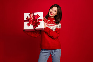 Wall Mural - Portrait of pretty positive person hands hold newyear giftbox isolated on red color background