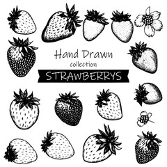 Sticker - Set of strawberrys, hand drawn illustration