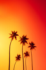 Wall Mural - Coconut palm trees silhouettes on tropical beach with clear colorful golden sunset sky as copy space