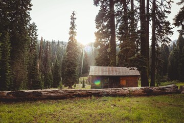 Scenic shot of a fallen log and a wooden cabin in the middle of a clearing field during sunset