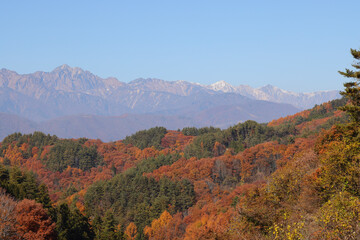 Wall Mural - autumn landscape in the mountains