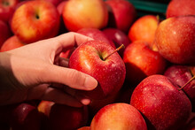 A Woman Chooses Apples In A Supermarket, Close-up, Organic And Natural Fruits.