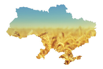 ukraine background map field wheat. selective focus.