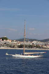 Wall Mural - Cannes Classic Sailing Event