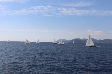 Wall Mural - Cannes Classic Sailing Event